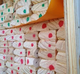 Domos Argentina - Cabios madera